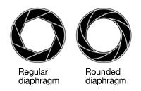 Rounded diaphragm blades give natural-looking circular blur highlights