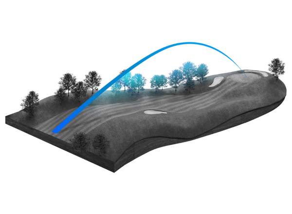 SIM2 MAXD CMS The Pathway To Distance