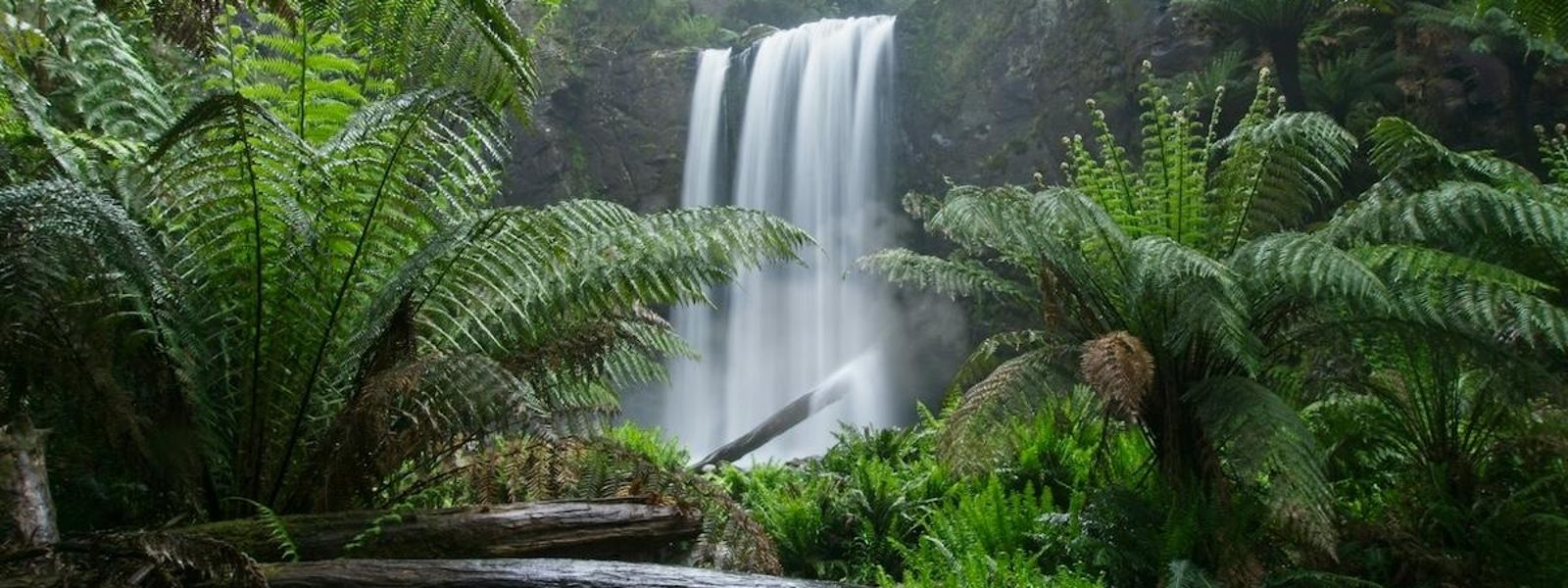 Gear Essentials For Landscapes